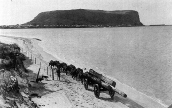 Full-size image