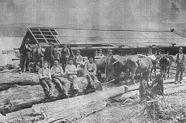 Full-size image