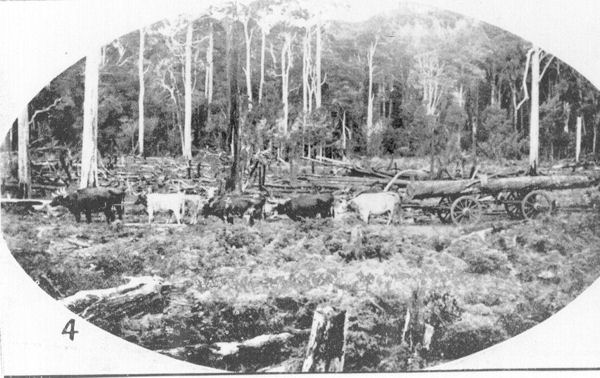 Full-size image