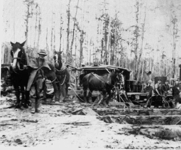 Full-size image