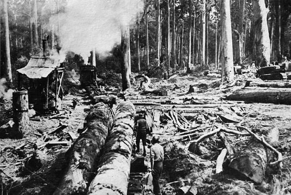 Full-size image