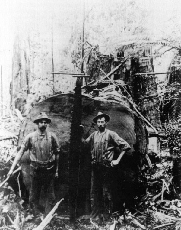 Full-size image