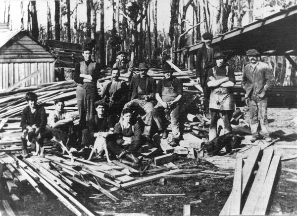 Full-size image