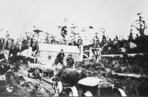 Full-size image