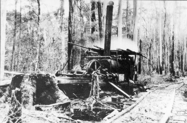 Full-size image