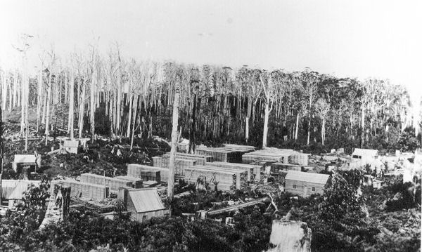 Full-size image