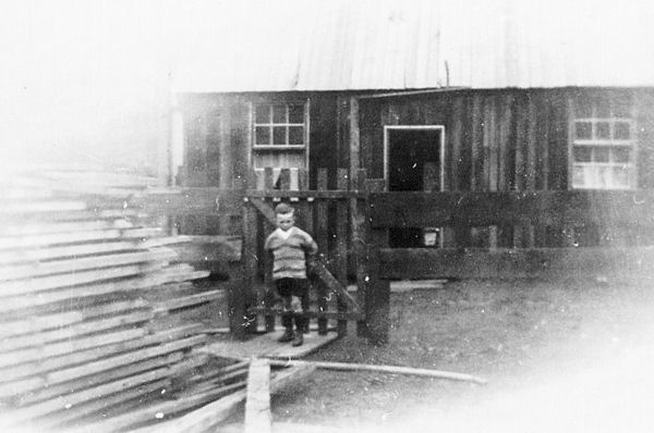 Full-size image