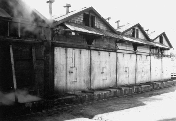 Full-size image