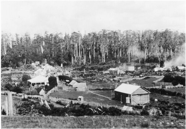Full-size image