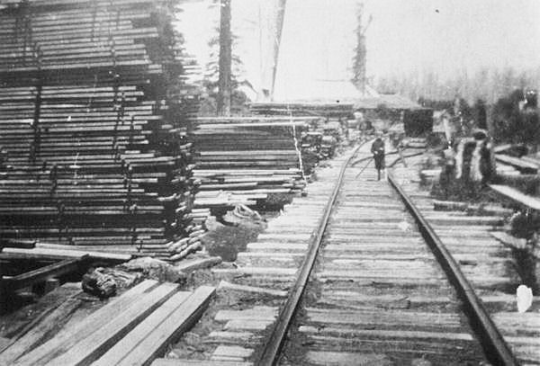 Full-size image