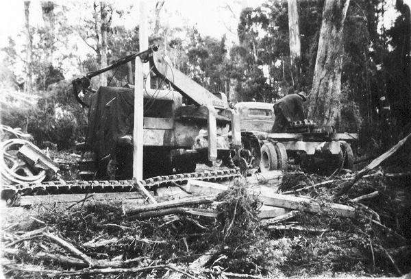 Full-size image
