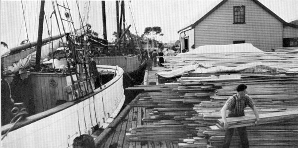 Full-size image