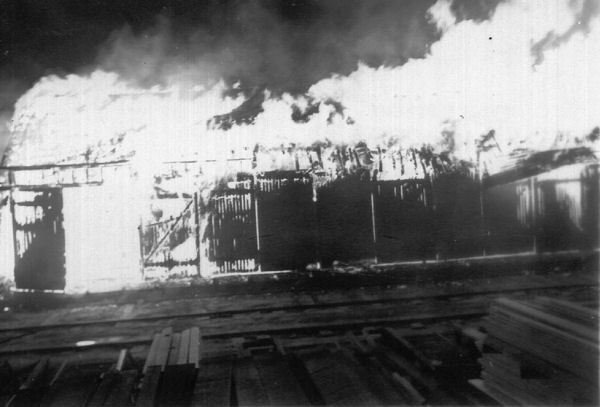 Full-size image
