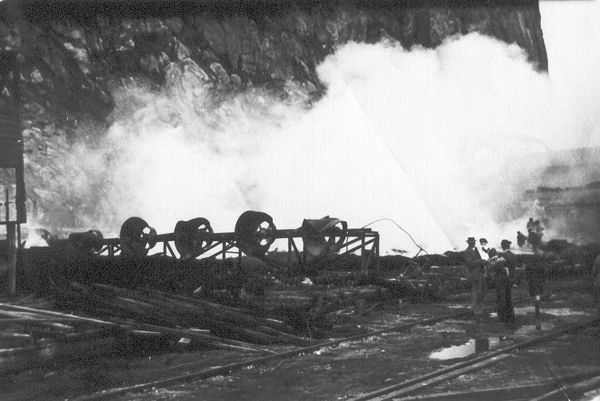 Full-size image