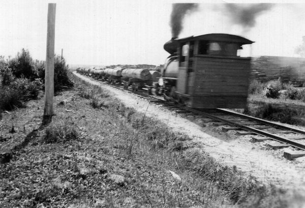Full-size image