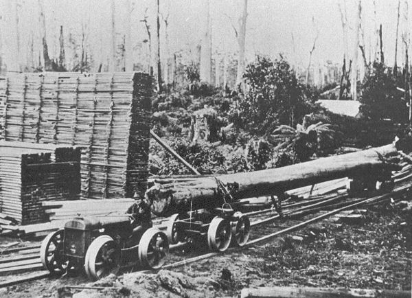 Full-size image