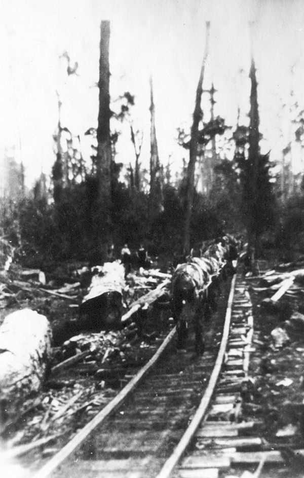 Full-size image