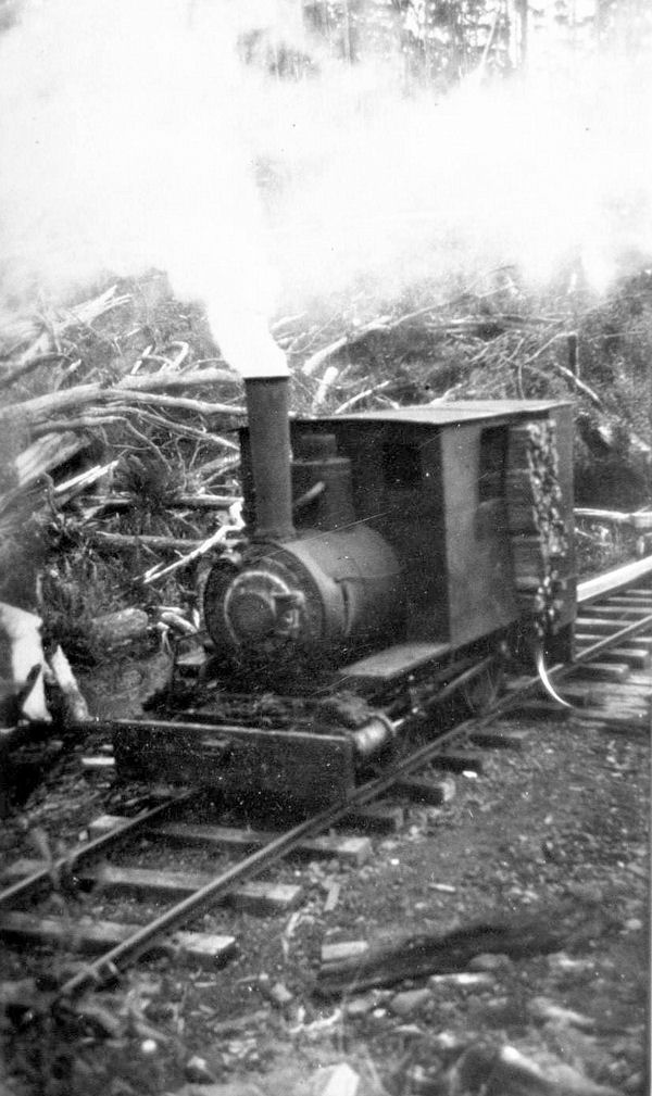 Full-size image