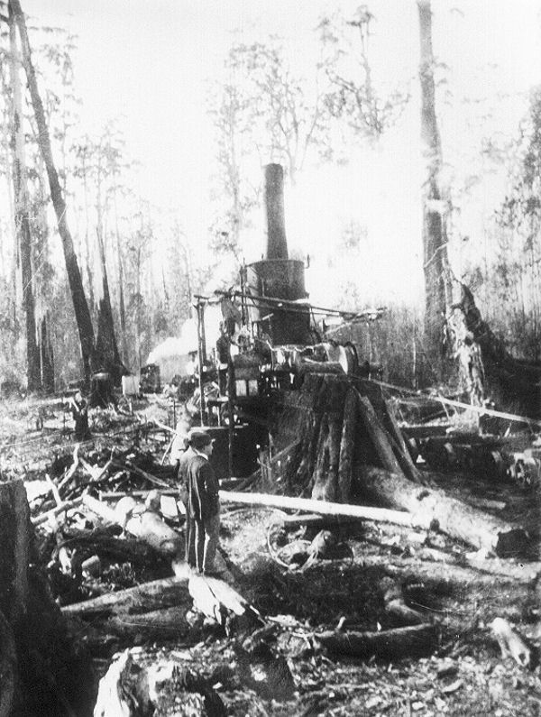 Full-size image