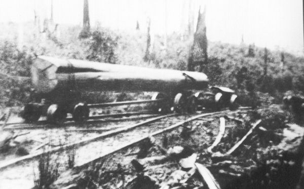 Full-size image