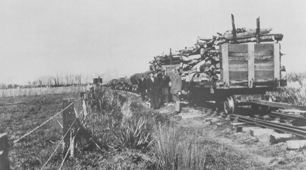 Full-size image