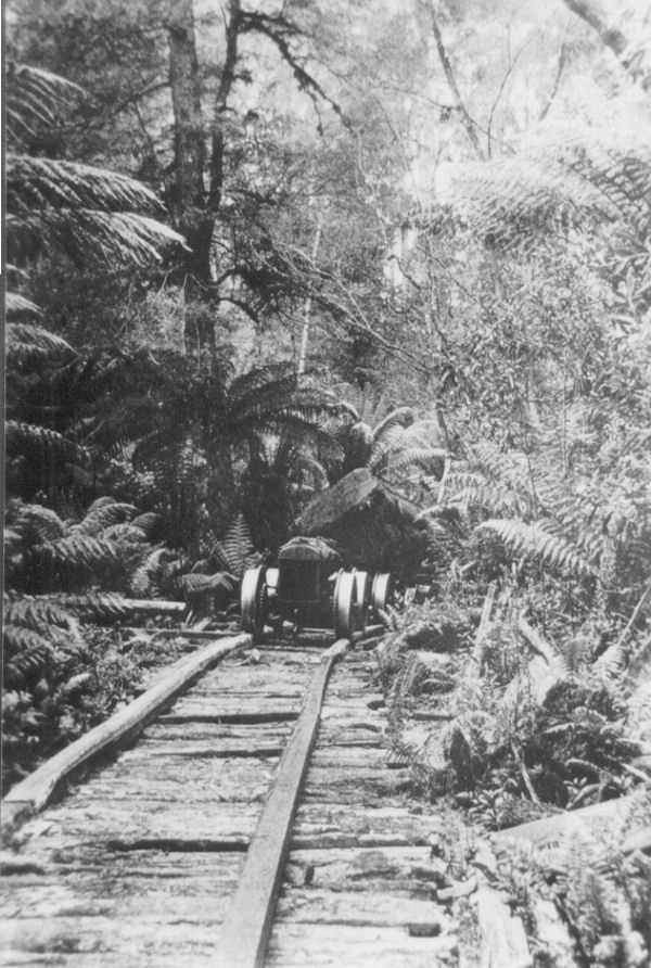 Full-size image