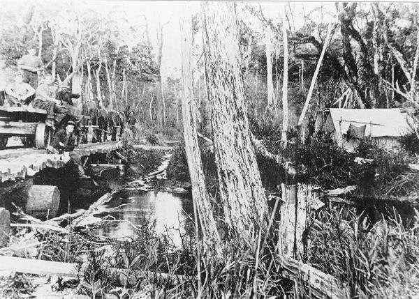 Full-size image