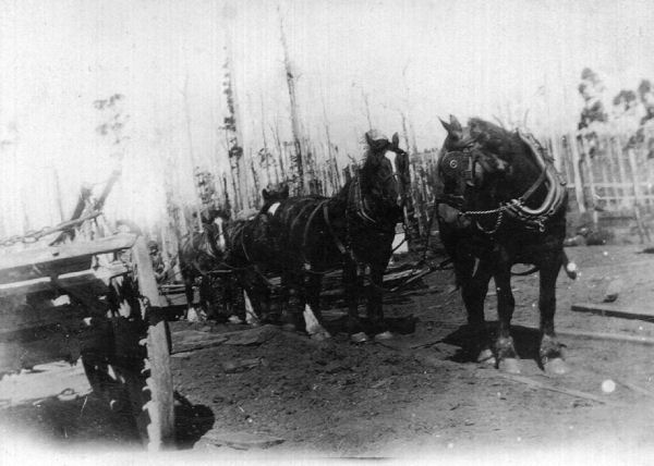 Full-size image