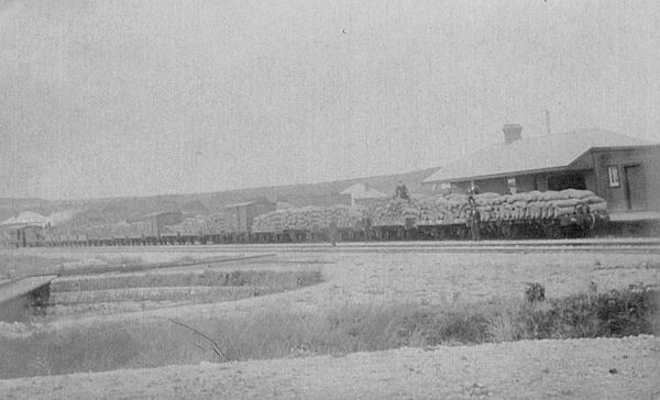 Full-size image