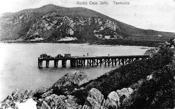 Full-size image