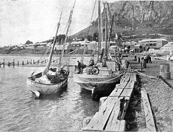 Full-size image