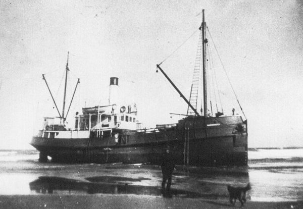 Full-size image