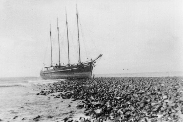 Full-size image