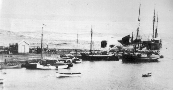 Full-size image