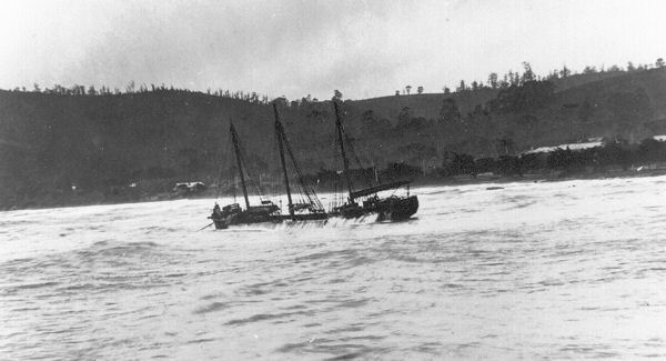 Full-size image