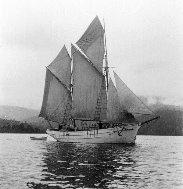 Full-size image