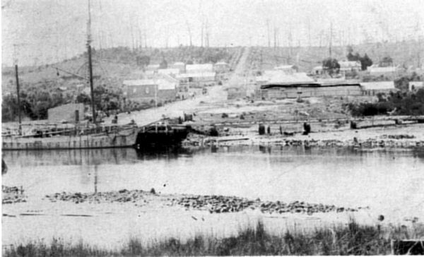 Full-size image