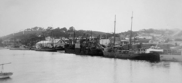 Full-size image