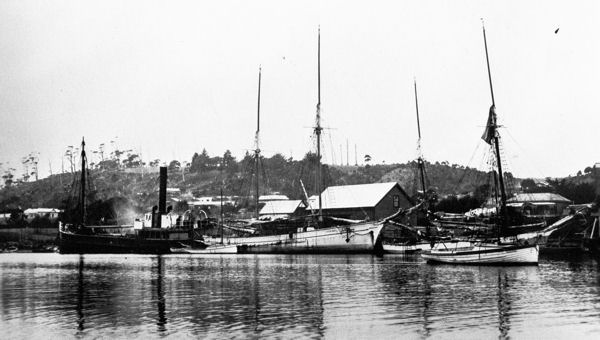 Full-size image