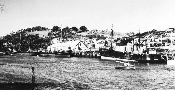 Full-size image