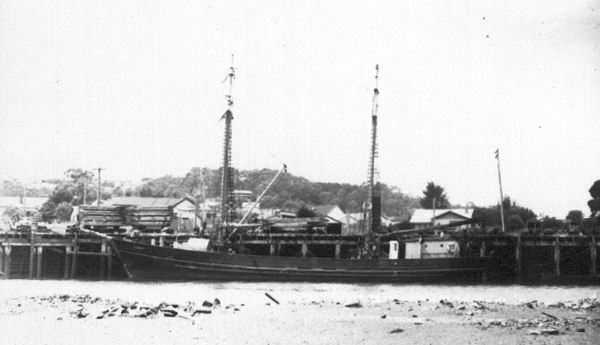 Full-size image