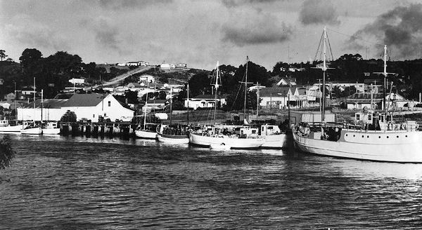 Full-size image