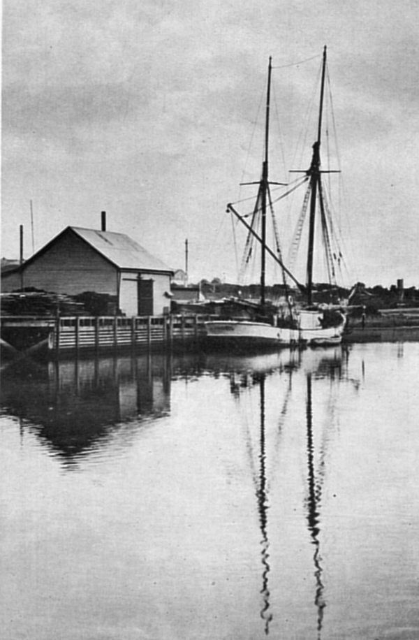 Full-size image