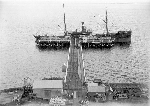 Full-size image