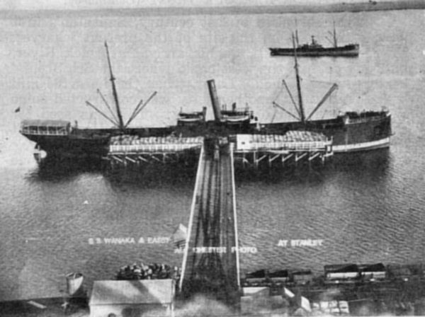 Full-size image