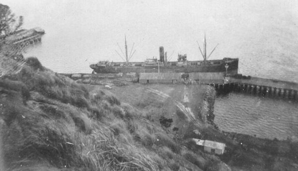 Full-size image