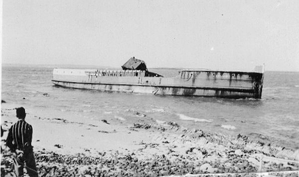 Full-size image