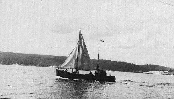 Full-size image