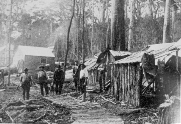 Full-size image