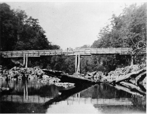 Full-size image
